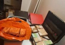 ΟΠΕΚΕΠΕ: 302 άτομα εμπλέκονται στο νέο κύκλωμα που εξαρθρώθηκε στη βόρεια Ελλάδα – Ελάχιστα μέλη του ήταν αγρότες