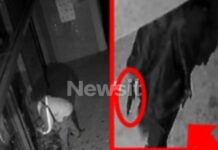 Κάτω Τιθορέα: Βίντεο ντοκουμέντο με την 26χρονη να κρατά όπλο σε ληστεία ΑΤΜ στα Λουτρά της Ωραίας Ελένης