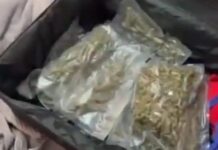 Μύκονος: Συνελήφθη 39χρονος για διακίνηση ναρκωτικών