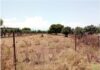 Ακαθάριστα οικόπεδα: Σήμερα αρχίζει η αντιπυρική περίοδος 2026 – Τι πρέπει να γνωρίζετε