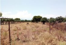 Ακαθάριστα οικόπεδα: Σήμερα αρχίζει η αντιπυρική περίοδος 2026 – Τι πρέπει να γνωρίζετε