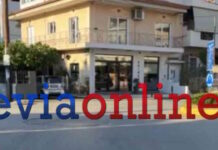 Εύβοια: Αυτοκίνητο παρέσυρε ανήλικη μαθήτρια σε κεντρικό σημείο της Χαλκίδας