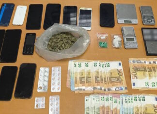 Σέρρες: Σπείρα έκανε διακίνηση ναρκωτικών – Τους «ξετρύπωσε» η Roxy της ΕΛΑΣ