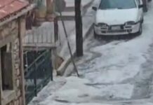 Αρκαδία: Σφοδρή χαλαζόπτωση «έντυσε» στα λευκά τα Τρόπαια Γορτυνίας – Ζημιές σε καλλιέργειες