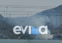 Φωτιά στη Χαλκίδα – 12 πυροσβέστες στο σημείο