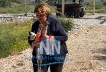 Από την αναμονή στην ελπίδα – Ο «Χάτσικο» της Ναυπακτίας βρήκε φροντίδα