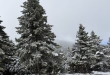 Καιρός: Χιόνια στα ορεινά και πολλά μποφόρ στο Αιγαίο – Έρχεται καλοκαίρι μέσα στην εβδομάδα