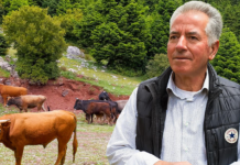 Σπαρτιά Αιτωλοακαρνανίας: Ένα χωριό που ερημώνει και ένας άνθρωπος που μένει πίσω (video)