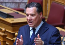 Άδωνις Γεωργιάδης: Το περιστατικό με τον θάνατο της νοσηλεύτριας στο Ναύπλιο δεν πρέπει να «χρεώνεται» στους Ρομά