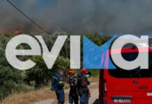Φωτιά στα Εύβοια: Καίγεται δάσος κοντά στα Μεσοχώρια – Ήχησε το 112 και συνδρομή από εναέρια μέσα