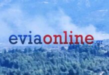 Φωτιά στην Εύβοια: Στην περιοχή Λούτσα – Επιχειρούν εναέρια μέσα