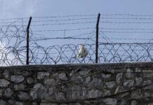 Θεσσαλονίκη: Στη φυλακή 57χρονος που οδηγούσε μεθυσμένος, εγκατέλειψε τροχαίο και κρύφτηκε σε ρεματιά