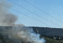 Φωτιά στα Πεύκα Θεσσαλονίκης: Καίει σε δασική περιοχή – Ήχησε το 112