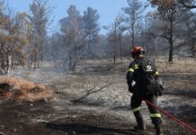 Πρόστιμο 3.000 ευρώ σε ηλικιωμένο που άναψε ψησταριά στη Νέα Μάκρη – 44 πυρκαγιές το τελευταίο 24ωρο