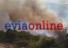 Αναζωπυρώθηκε η φωτιά στην Εύβοια: Τα στοιχεία που «δείχνουν» εμπρησμό
