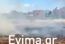 Εύβοια: Συνελήφθη 50χρονος για τη φωτιά κοντά σε σπίτια στη Νέα Αρτάκη