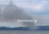Φωτιά στην Κορινθία: Έκαιγε σε δασική έκταση στη Σκαλωσιά