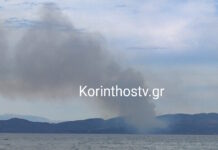 Φωτιά στην Κορινθία: Έκαιγε σε δασική έκταση στη Σκαλωσιά