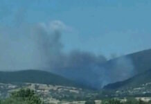 Φωτιά στη Ροδόπη: Καίει αγροτοδασική έκταση στην Παλαιά Κρωβύλη, σηκώθηκαν 5 αεροσκάφη