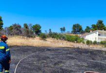 Φωτιά στη Σταμάτα σε οικοπεδικό χώρο – Άμεση κινητοποίηση της πυροσβεστικής