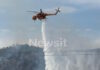 Φωτιά στο Λουτράκι: Συνελήφθη 70χρονος Γάλλος που εκτελούσε αγροτικές εργασίες με χορτοκοπτικό