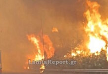 Φωτιά στη Βοιωτία: Μάχη με τις φλόγες στο Ακραίφνιο και με εναέρια μέσα