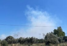Φωτιά στον Ορχομενό Βοιωτίας – Και εναέρια μέσα στο σημείο