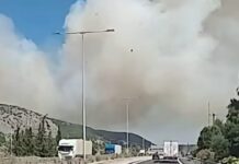 Φωτιά στη Βοιωτία: Μάχη με τις φλόγες στο Ακραίφνιο και με εναέρια μέσα – Έκλεισε η εθνική οδός