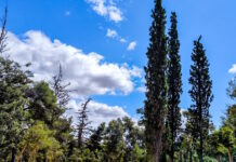 Καιρός αύριο: Στους 35 βαθμούς η θερμοκρασία – Βροχές στο Ιόνιο, καταιγίδες στα βόρεια ηπειρωτικά
