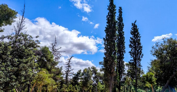 Καιρός αύριο: Στους 35 βαθμούς η θερμοκρασία – Βροχές στο Ιόνιο, καταιγίδες στα βόρεια ηπειρωτικά