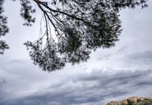 Καιρός σήμερα: Βοριάδες έως 7 μποφόρ στο Αιγαίο – Βροχές με θερμοκρασία έως τους 34 βαθμούς
