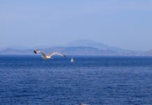 Καιρός αύριο: Στους 34 βαθμούς η θερμοκρασία – Έως 6 μποφόρ στα νότια