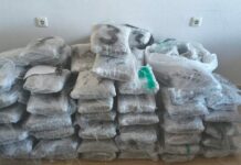 Ηγουμενίτσα: Κατασχέθηκαν 96 κιλά κάνναβης – Αστυνομικοί βρήκανε 90 δέματα μέσα στο αυτοκίνητο γυναίκας
