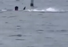 Φλόριντα: Η στιγμή που καρχαρίας επιτίθεται σε λουόμενους