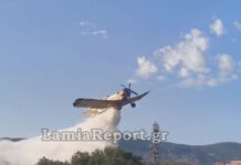 Φωκίδα: Μεγάλη φωτιά στην περιοχή Μαριολάτα
