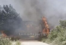 Φωτιά στη Λαμία: Στην είσοδο της περιοχής Λυγαριά – Επιχειρούν 2 εναέρια μέσα