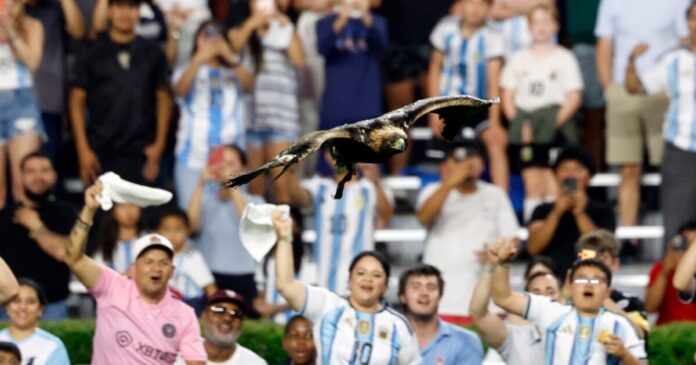 mascot-1200x630.jpg