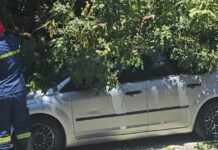 Ισχυροί άνεμοι έως 124 χλμ στην Αττική: Δέντρο καταπλάκωσε όχημα στη Μιχαλακοπούλου, πτώση τοίχου στο Παγκράτι