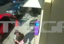Ναύπακτος: «Σε σοκ η μητέρα και το παιδάκι έκλαιγε, γλίτωσαν και άλλα δύο άτομα» λέει αυτόπτης μάρτυρας για τον ηλικιωμένο οδηγό που πήρε «παραμάζωμα» τραπεζοκαθίσματα και οχήματα