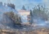 Φωτιά στη Ναύπακτο: Κοντά σε σπίτια – Eπιχειρούν 2 αεροσκάφη και 1 ελικόπτερο