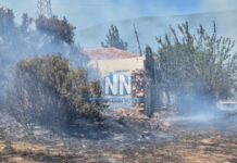 Φωτιά στη Ναύπακτο: Κοντά σε σπίτια – Eπιχειρούν 2 αεροσκάφη και 1 ελικόπτερο