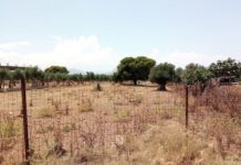 Τέλος χρόνου για τις δηλώσεις για τα ακαθάριστα οικόπεδα: Δεν θα δοθεί άλλη παράταση – Τα πρόστιμα και οι κυρώσεις