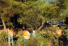 Ακαθάριστα οικόπεδα: Παρατείνεται ως τις 22 Ιουνίου η προθεσμία