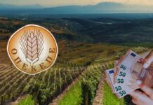 Νέες θέσεις εργασίας σε 3 ΚΕΠ της χώρας