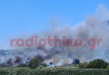 Φωτιά στην Πέτρα Βοιωτίας: «Απομακρυνθείτε προς Λιβαδειά» το μήνυμα του 112 – Η φωτιά μπήκε στο χωριό