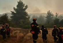Ασπρόπυργος: Πυροσβέστες καταγγέλλουν επίθεση από 20 Ρομά ενώ έσβηναν φωτιά σε καταυλισμό – «Προσπάθησαν να μας πάρουν το όχημα»