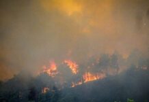 ΚΕΕΕ: Ζητεί νομοθετική ρύθμιση 120 δόσεων για τα πυρόπληκτα δάνεια