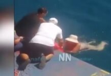 Γυναίκα διασώθηκε από φέρι μποτ όταν παρασύρθηκε από θαλάσσια ρεύματα στο Ρίο – Αντίρριο