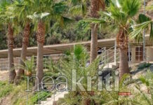 Τραγωδία στο Ηράκλειο: Νεκρή γυναίκα στο σκοπευτήριο Μαλεβιζίου – Έστρεψε το όπλο πάνω της και αυτοκτόνησε