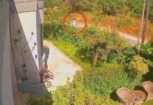Σταυρούλα Λεβεντάκη: Η τελευταία φωτογραφία της 45χρονης πριν δολοφονηθεί – Ξεσπά ο αδερφός της